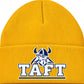 Taft beanie