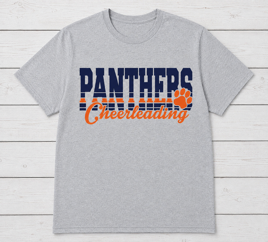 Panthers cheerleading